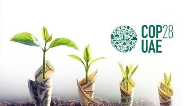  الإمارات تفك شفرة التمويل المناخي بصندوق استثمارات ضخم