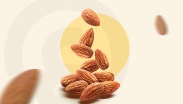 أشجار اللوز اليمني البلدي