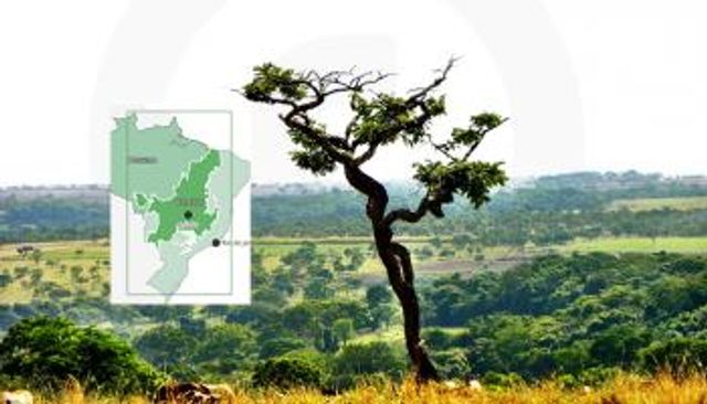 منطقة سيرادو بالبرازيل