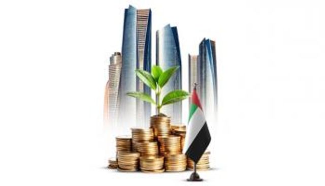 استثمارات دولة الإمارات