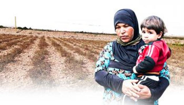 أزمة غذائية قد تؤدي إلى نزوح 1.5 مليون سوري