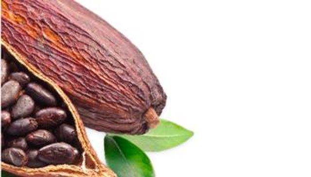 خريطة إنتاج الكاكاو في العالم