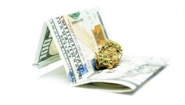 قصة سقوط مخطط الحشيش «الاحتيالي»