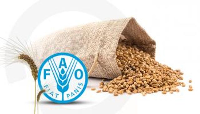 أسعار الغذاء العالمية.. تراجع طفيف في يوليو 2024 