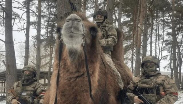 تحذير عاجل لمستخدمي Gmail..