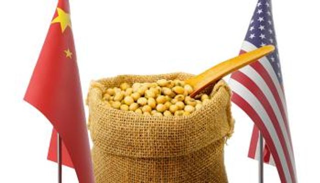 هدنة فول الصويا.. صفقة تُهدئ الحرب التجارية