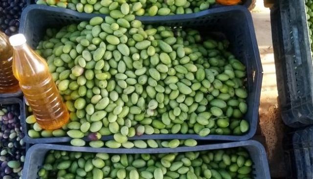 نازحون سودانيون جراء الحرب- أرشيفية