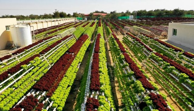 تنظيم الإخوان في فرنسا - العين الإخبارية