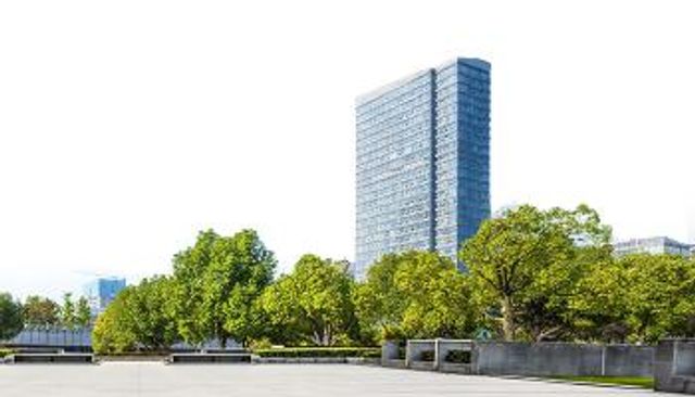 الطبيعة تُنقذ الأرواح النباتات في المدن تقلل الوفيات