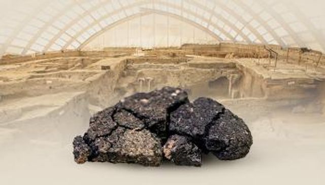 خبز كولوبا التركي المقاوم للجفاف