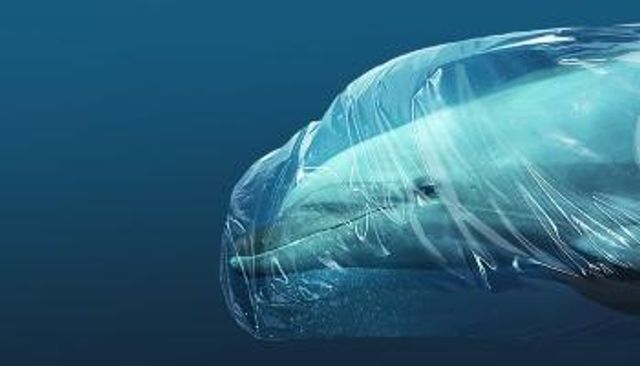 التلوث البلاستيكي تهديد بيئي خطير