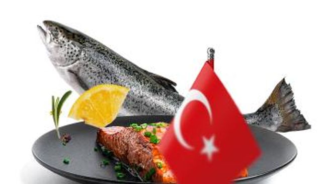 السلمون التركي.. ذهب وردي من أعماق البحر الأسود
