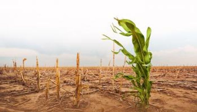 تداعيات الطقس المتطرف