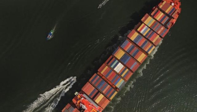 الدكتورة فرح علي الزرعوني