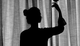 240 صورة فوتوغرافية فنية في معرض الشارقة 