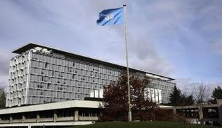 ارتفاع ضحايا الحمى الصفراء في أنجولا