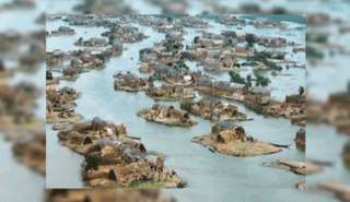 الأهوار العراقية.. 5000 عام من التاريخ والتراث