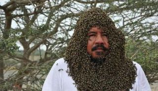 مربي النحل زهير الفطني