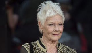 جودي دينش تواصل مسيرتها اللامعة 