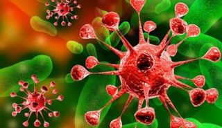 صورة توضيحية 