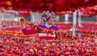 الحياة بالألوان.. من صور جائزة حمدان بن محمد بن راشد آل مكتوم الدولية للتصوير الضوئي