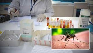 ابتكار يسعى لمكافحة البعوضة الناقلة