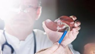 حصوات المرارة تزيد فرص الإصابة بأمراض القلب