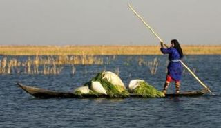 صورة أرشيفية لـ
