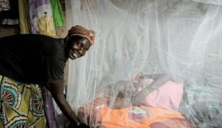 أم انجولية تحاول ابعاد الناموس عن طفلها