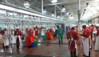 مسالخ بلدية أبوظبي