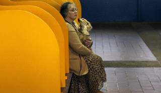 امراة تحمل كلبا خلال مسابقة للحيوانات الأليفة في نيويورك