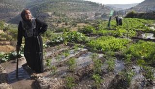 قرية بتير الفلسطينية (الصور لموقع البلد)