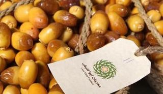 مهرجان ليو للرطب