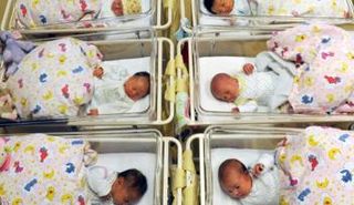 مواليد جدد-  صورة أرشيفية