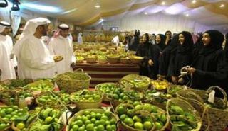 من فعاليات مهرجان ليوا للرطب 