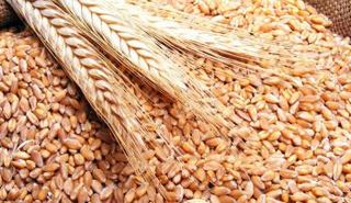 الأردن تعدل شروط المناقصات مع عزوف الموردين 