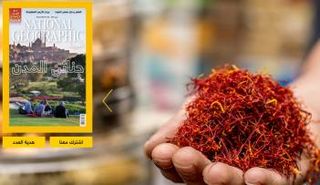 مؤسسة بحر الثقافة تحاول في هذه المبادرة نشر الوعي والاطلاع على تجارب الأمم الأخرى