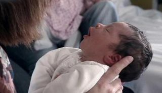 مخاوف من انتشار زيكا في هولندا