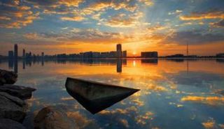 من الصور الفائزة في الدورات السابقة