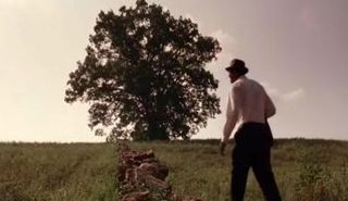 شجرة فيلم وداعا شاوشانك في لقطة من الفيلم