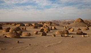 وادي الحيتان للحفريات وتغير المناخ بمحمية وادي الريان المصرية