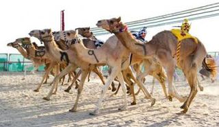 تنطلق المنافسات في 13 فبراير وتستمر إلى 19 منه