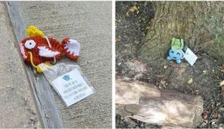 نيكول تطرز كائنات بوكيمون وتنشر السعادة