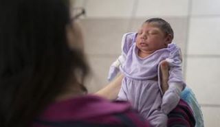 عدوى زيكا الفيروسية