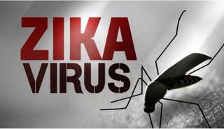 زيكا