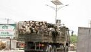 الجيش النيجيري يصد هجومًا لـ