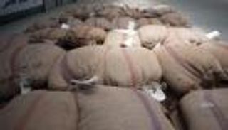 القمح.. قصة كفاح مصرية ضد الفساد