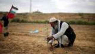 الحكومة الفلسطينية تطالب المجتمع الدولي بالتدخل لوقف الاستيطان 