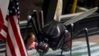 الكشف عن عدد الأمريكيات المصابات بفيروس زيكا