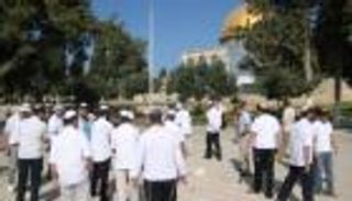 مستوطنون يجددون اقتحام الأقصى.. واعتقال 13 فلسطينيًّا بالضفة